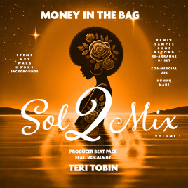 money_in_the_bag