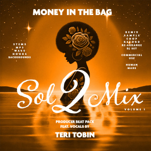 money_in_the_bag